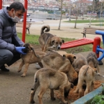 ‘’Hayvan Dostu Belediye’’ Çalışmalarına Devam Ediyor